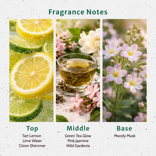 Social Buzz Fragrance Oil lifestyle product image - Zoom Media 2