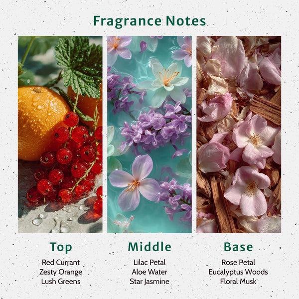Clean Slate Fragrance Oil lifestyle product image - Zoom Media 2