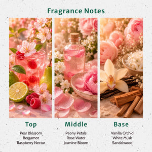 Endless Reverie Fragrance Oil - Secondary Image