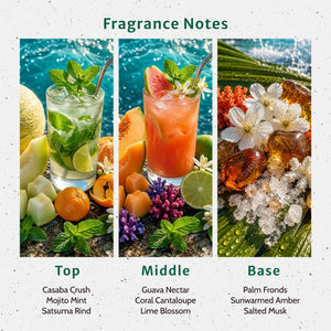 Coral Crush Fragrance Oil - Secondary Image