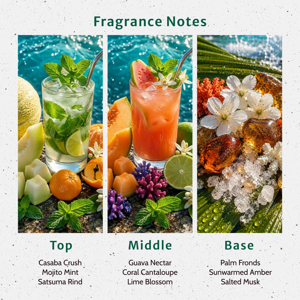Coral Crush Fragrance Oil - Zoom Media 2
