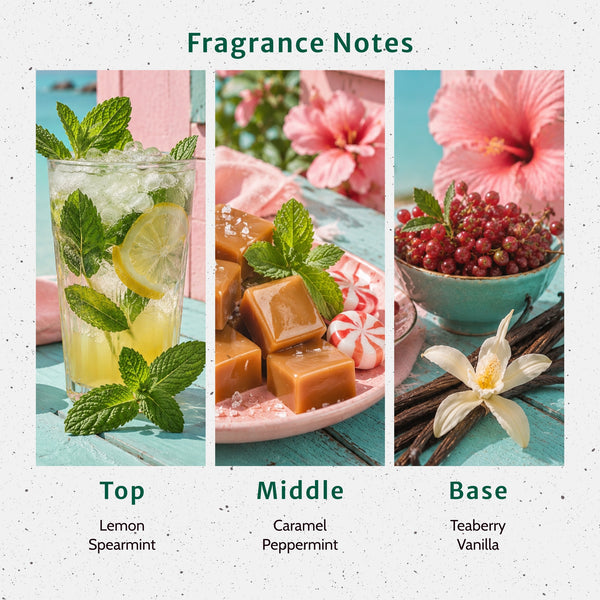 Santa's Tiki Bar Fragrance Oil - Zoom Media 2