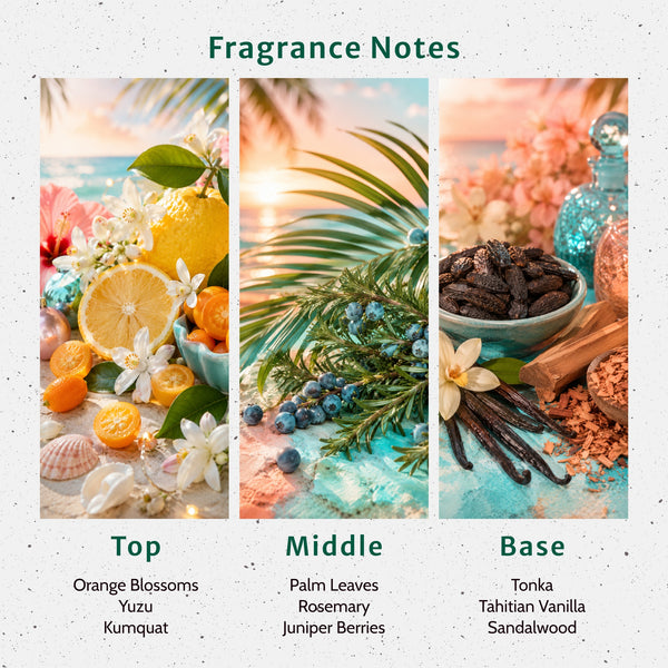 Deck the Palms Fragrance Oil - Zoom Media 2