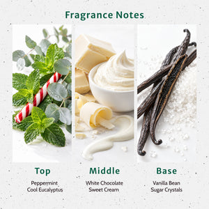 Mint Condition Fragrance Oil - Secondary Image