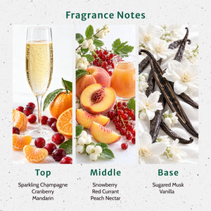 Snowberry Bellini Blitz Fragrance Oil - Secondary Image