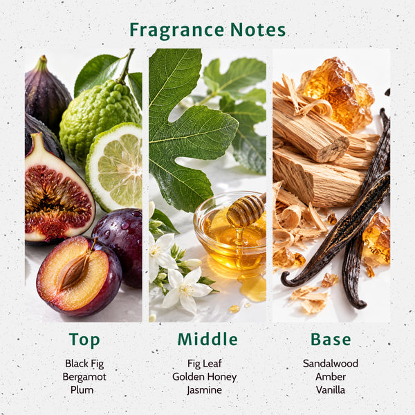 Get Figgy With It Fragrance Oil - Zoom Media 2