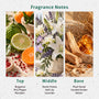 Musk Have Been Love Fragrance Oil - Zoom Thumbnail Media 2