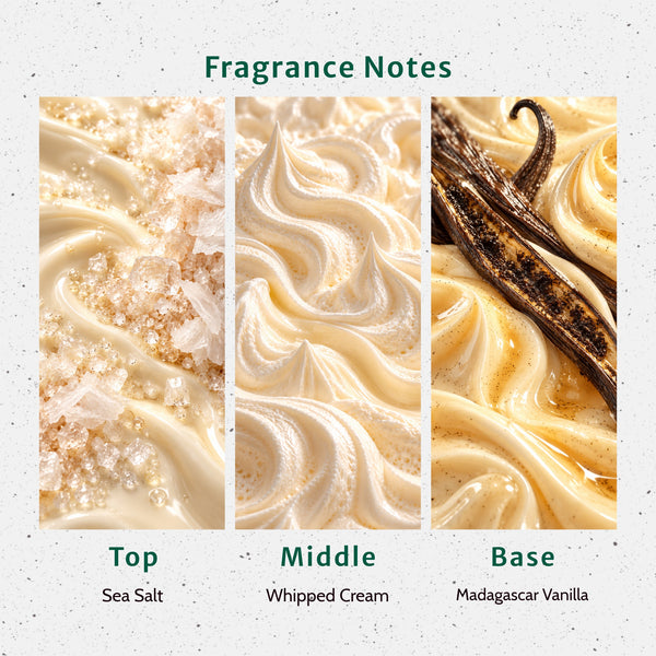 Sugar Shore Fragrance Oil - Zoom Media 2
