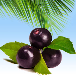 Acai Berry Fragrance Oil