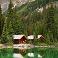 Balsam and Cedar Fragrance Oil
