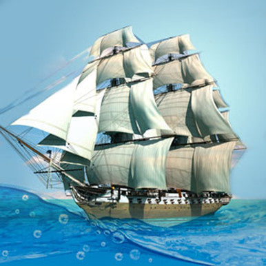 Bay Rum Fragrance Oil