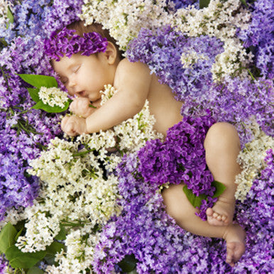 Bedtime Baby Fragrance Oil