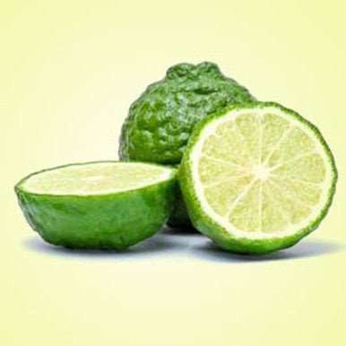 Bergamot Fragrance Oil