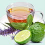 Bergamot and Tarragon Leaves Fragrance Oil