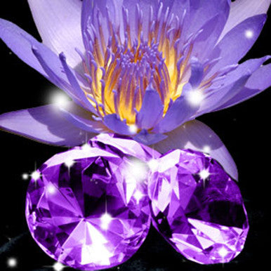 Blackened Amethyst Fragrance Oil