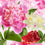 Brilliant Crystals Fragrance Oil