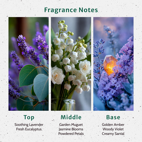 Calm Girl Era Fragrance Oil