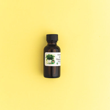 Citronella Java Essential Oil - 100% Pure