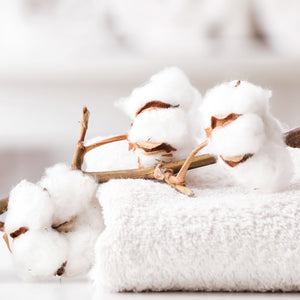 Clean Fresh Cotton Fragrance Oil fragrance oil bottle - Featured Image