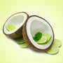 Coconut Lime Verbana Fragrance Oil