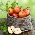 Country Apple Fragrance Oil