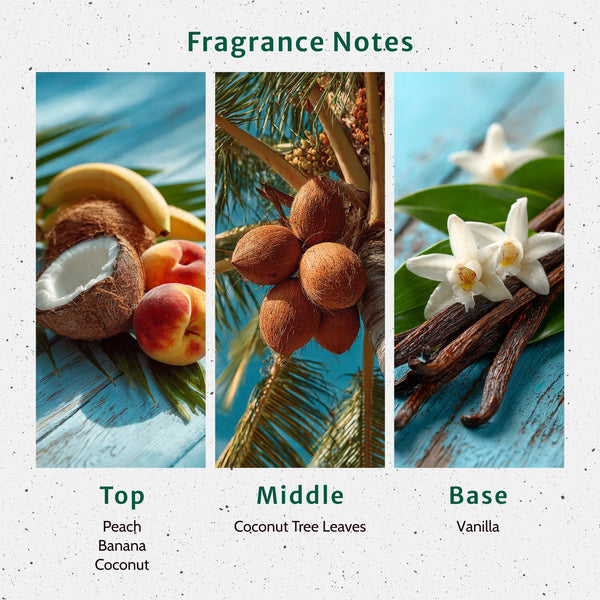 Creamy Coconut Fragrance Oil