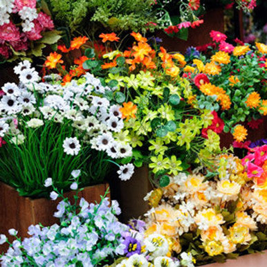 Deb's Flower Shoppe Fragrance Oil