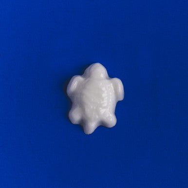 Small Turtles (Embed Mold) fragrance oil bottle