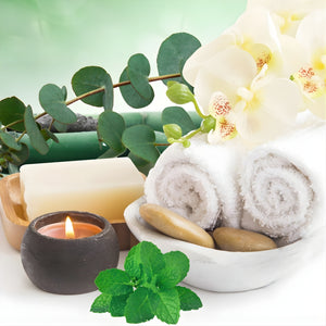 Eucalyptus & Spearmint Fragrance Oil