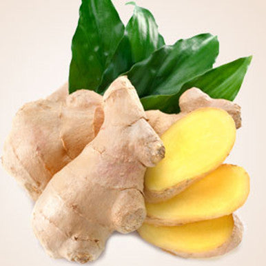 Fresh Ginger Fragrance Oil