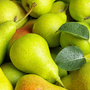 Fresh Pear Fragrance Oil