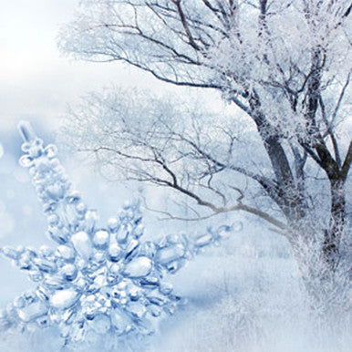 Frost & Snowdrops Fragrance Oil