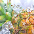 Iced Pineapple Fragrance Oil