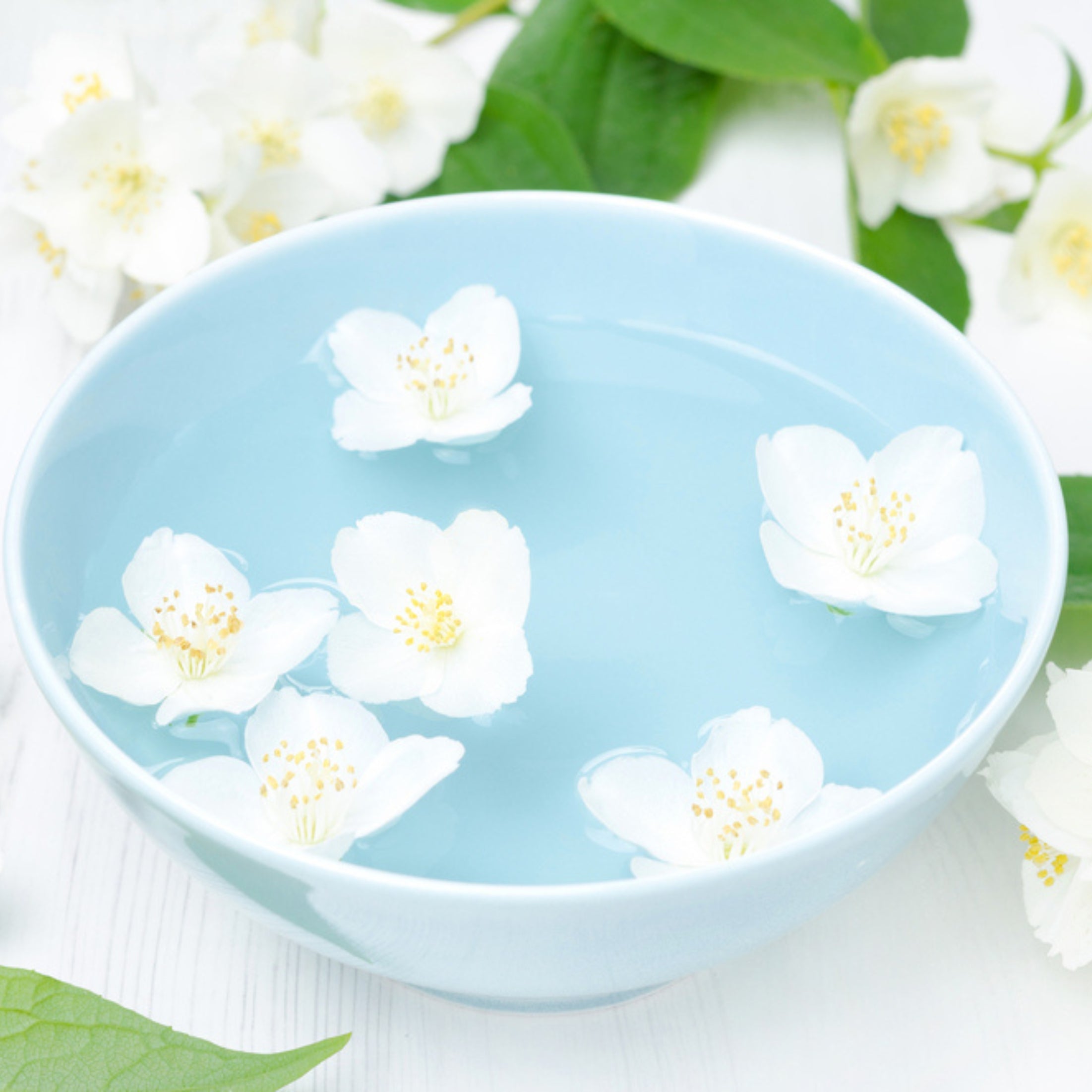 Jasmine Fragrance Oil - Fragrance Oils - for Soap & Candle Making