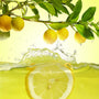 Juicy Lemon  Fragrance Oil