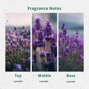 Lavender Flowers Fragrance Oil fragrance oil bottle - Secondary Image
