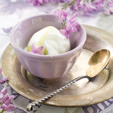 Lavender and Coconut Milk Natural Fragrance Oil