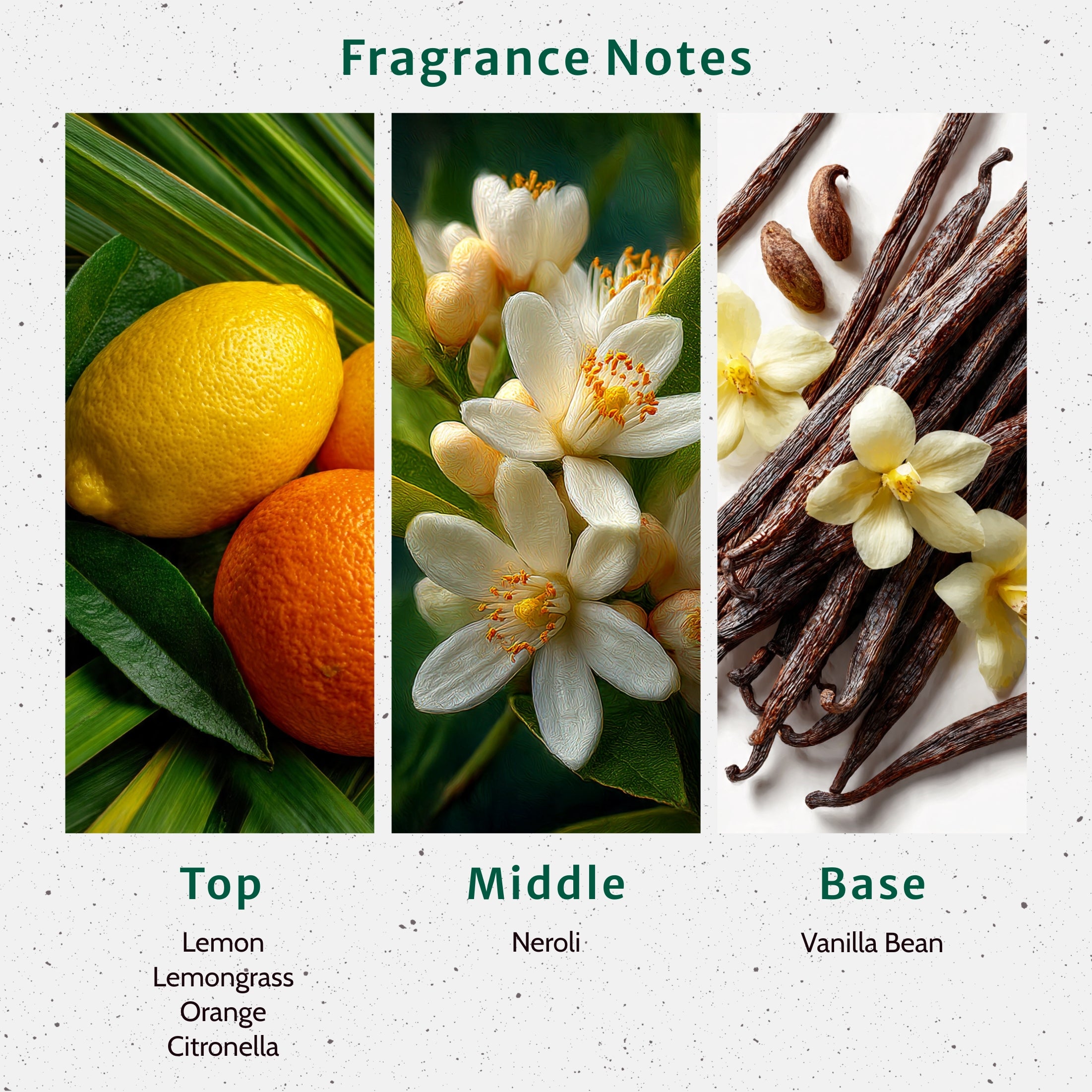 Lemon Fragrance Oil - Fragrance Oils - for Soap & Candle Making