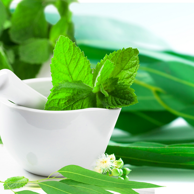 Mint & Eucalyptus Fragrance Oil fragrance oil bottle