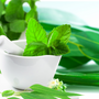 Mint & Eucalyptus Fragrance Oil fragrance oil bottle