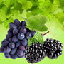 Muscadine Fragrance Oil fragrance oil bottle - Zoom Thumbnail Media 1