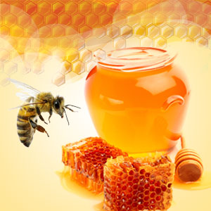 NG Baby Bee Buttermilk Type Fragrance Oil