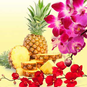 NG Pineapple Orchid Type Fragrance Oil