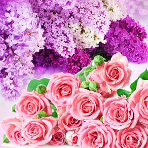 NG Rose & Violet Type Fragrance Oil fragrance oil bottle