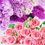 NG Rose & Violet Type Fragrance Oil fragrance oil bottle