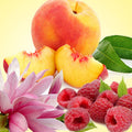 Peach Magnolia Raspberry Fragrance Oil