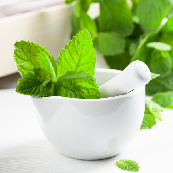 Peppermint Fragrance Oil