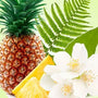 Pineapple Jasmine Fragrance Oil fragrance oil bottle - Zoom Thumbnail Media 1