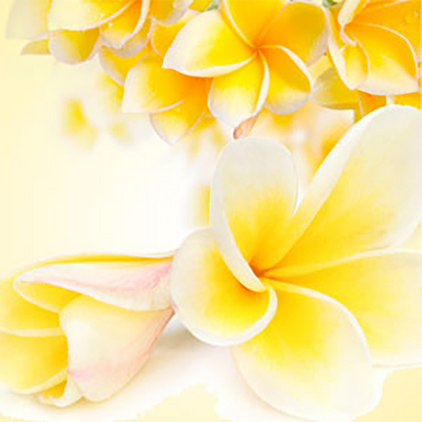 Tiare Flowers Fragrance Oil