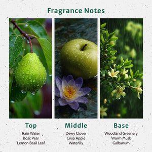Turn a New Leaf Fragrance Oil